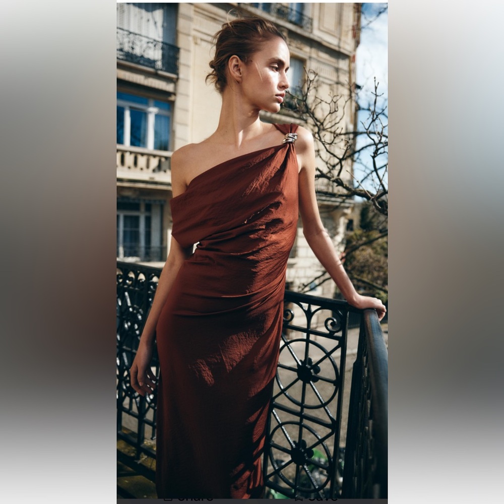 Zara Elegant GOLDEN APPLIQUÉ MIDI DRESS